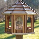 Wooden bird feeder shop and bird feeder products in Canada